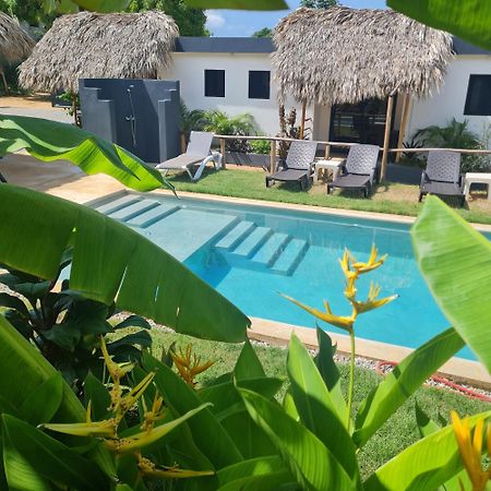 Bungalows Colibri Las Galeras Exterior photo