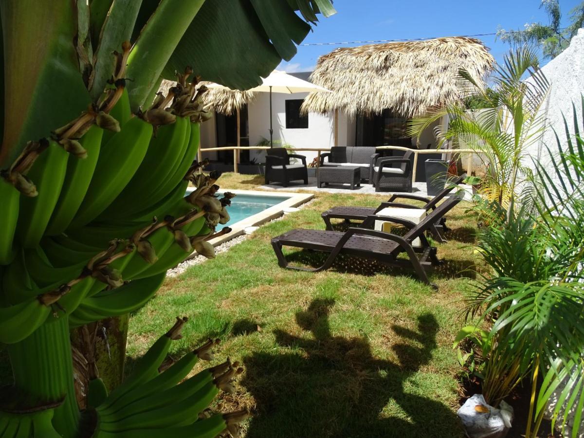 Bungalows Colibri Las Galeras Exterior photo