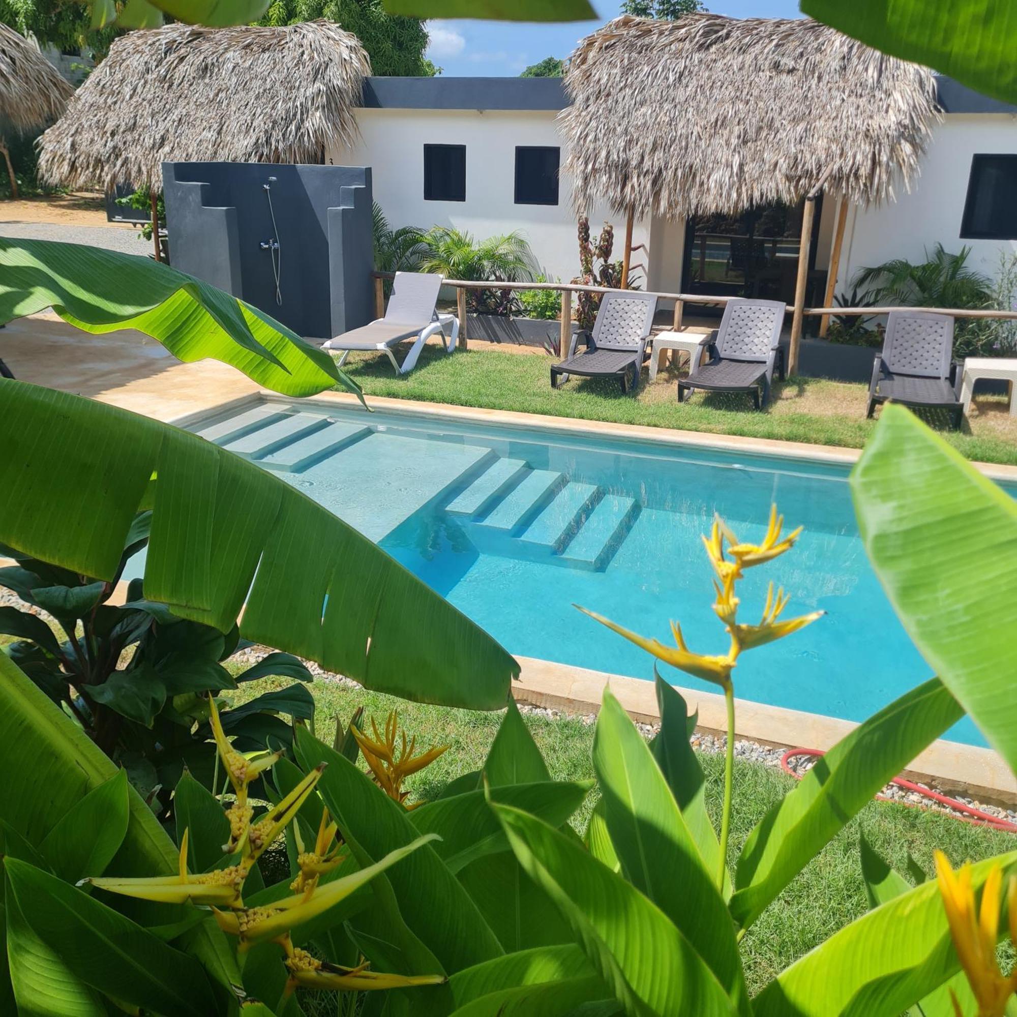 Bungalows Colibri Las Galeras Exterior photo