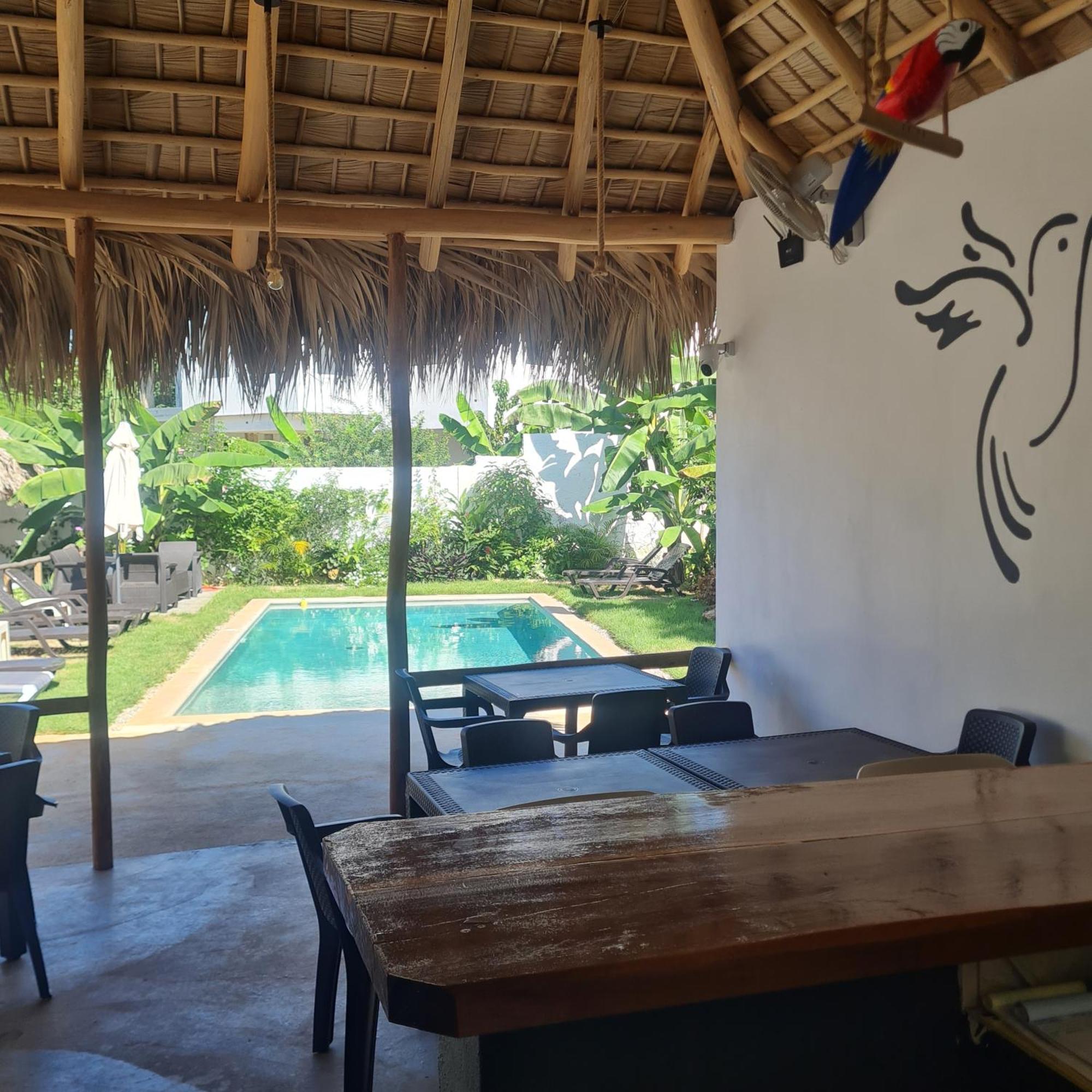Bungalows Colibri Las Galeras Exterior photo