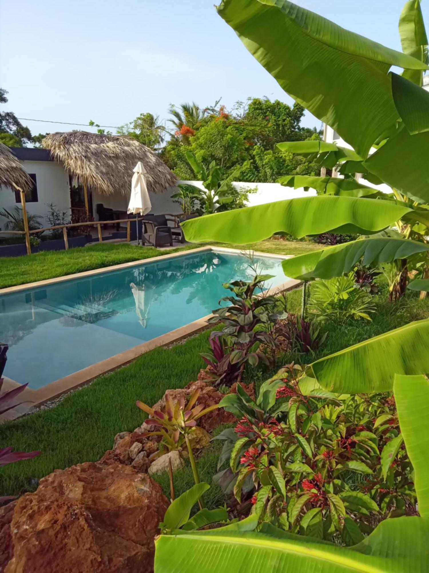 Bungalows Colibri Las Galeras Exterior photo