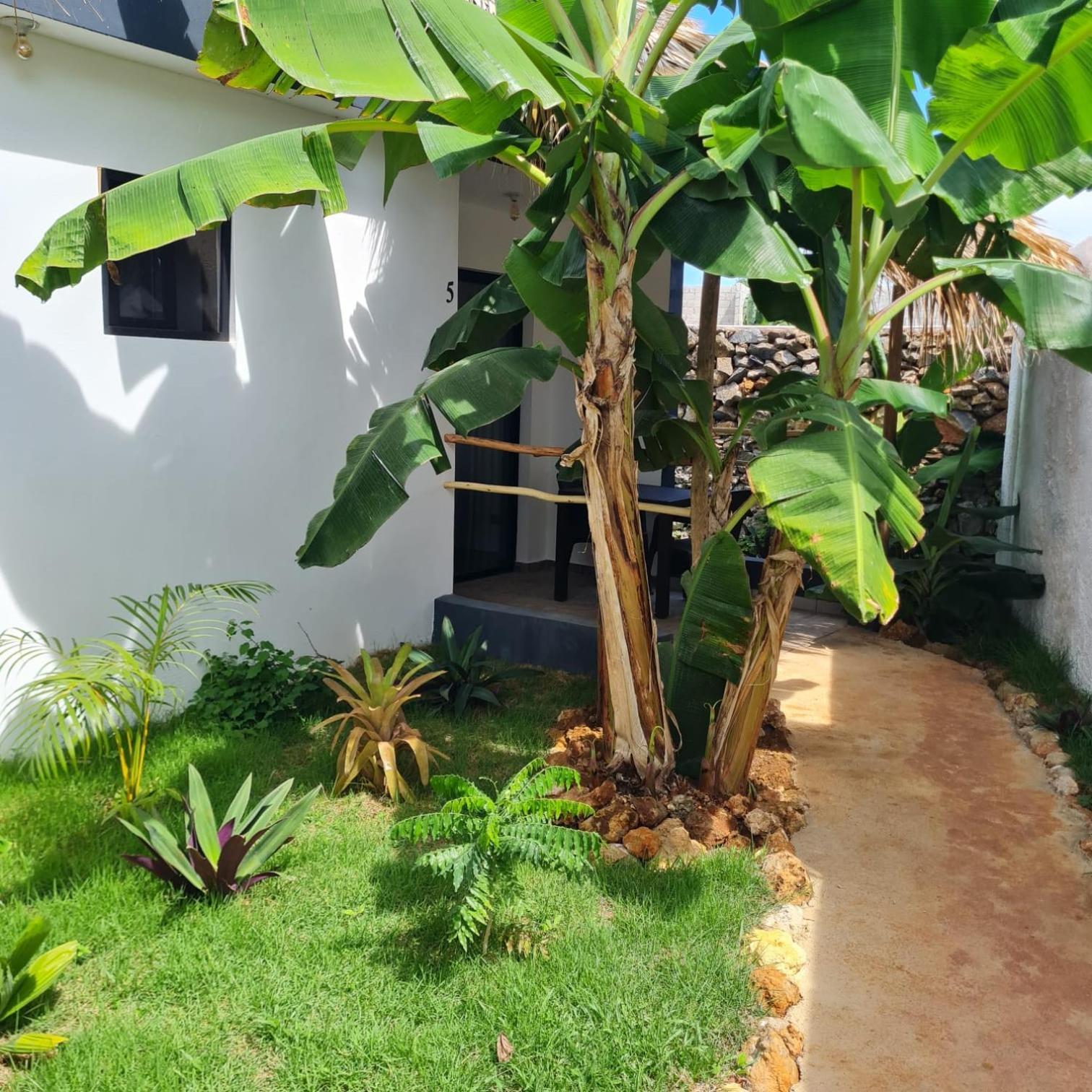 Bungalows Colibri Las Galeras Exterior photo