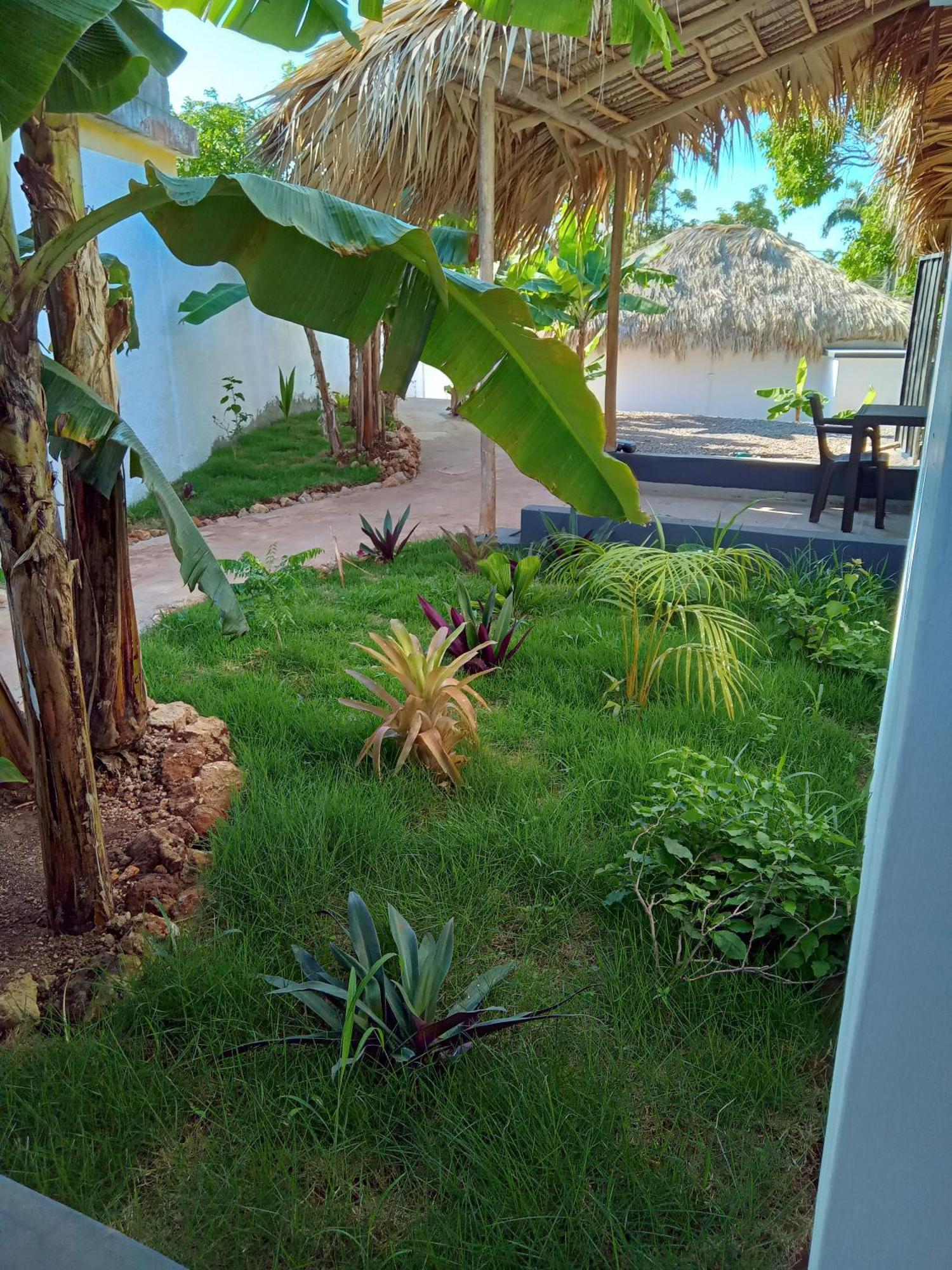 Bungalows Colibri Las Galeras Exterior photo