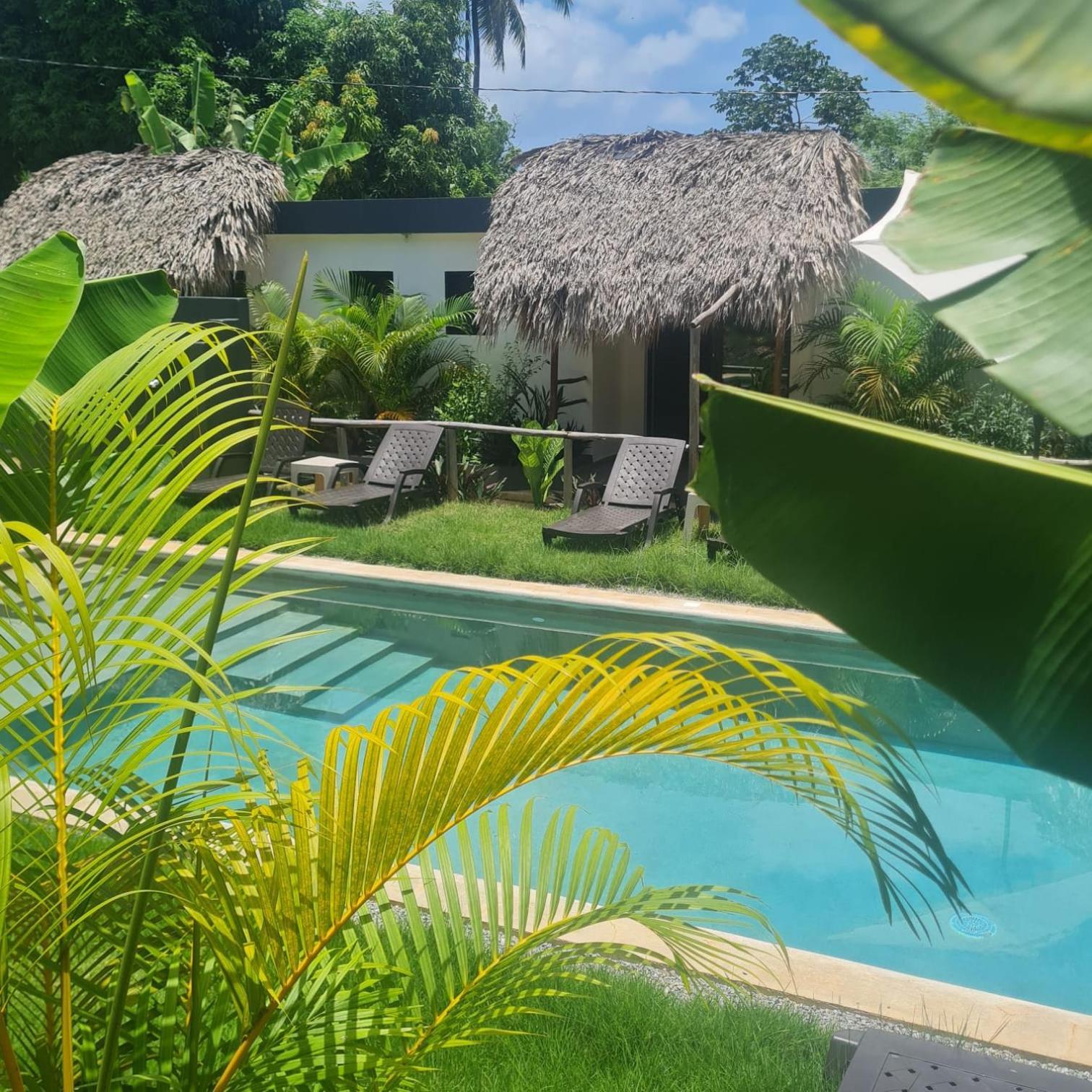 Bungalows Colibri Las Galeras Exterior photo