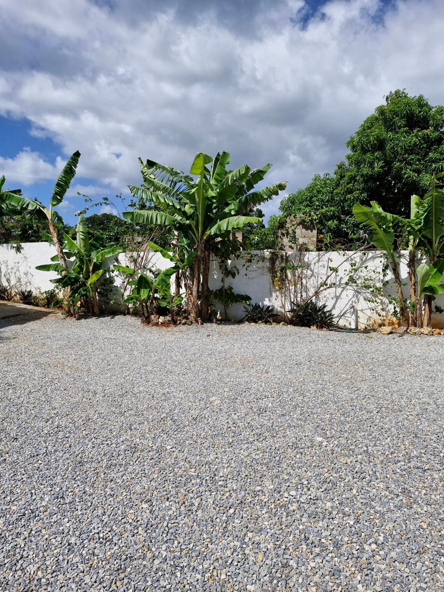 Bungalows Colibri Las Galeras Exterior photo