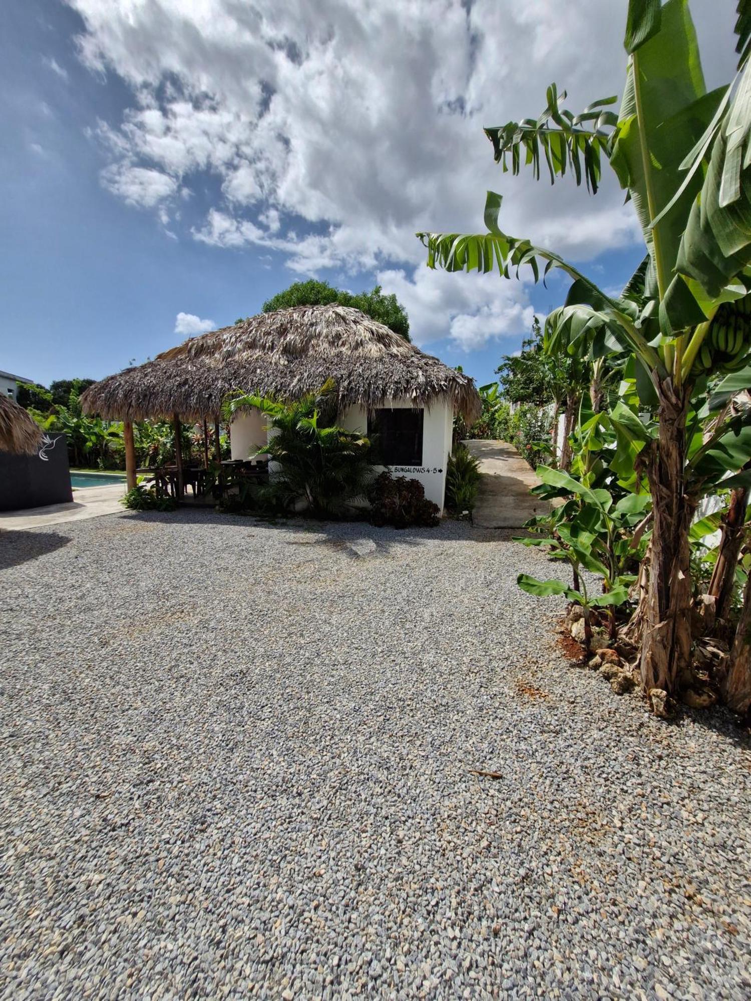 Bungalows Colibri Las Galeras Exterior photo