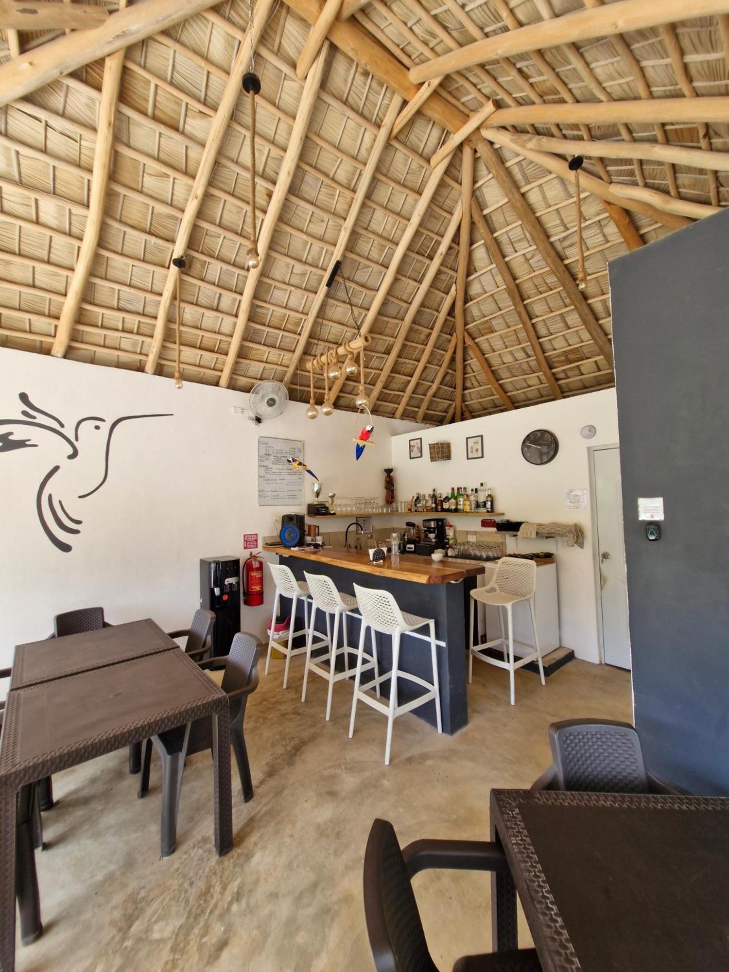 Bungalows Colibri Las Galeras Exterior photo