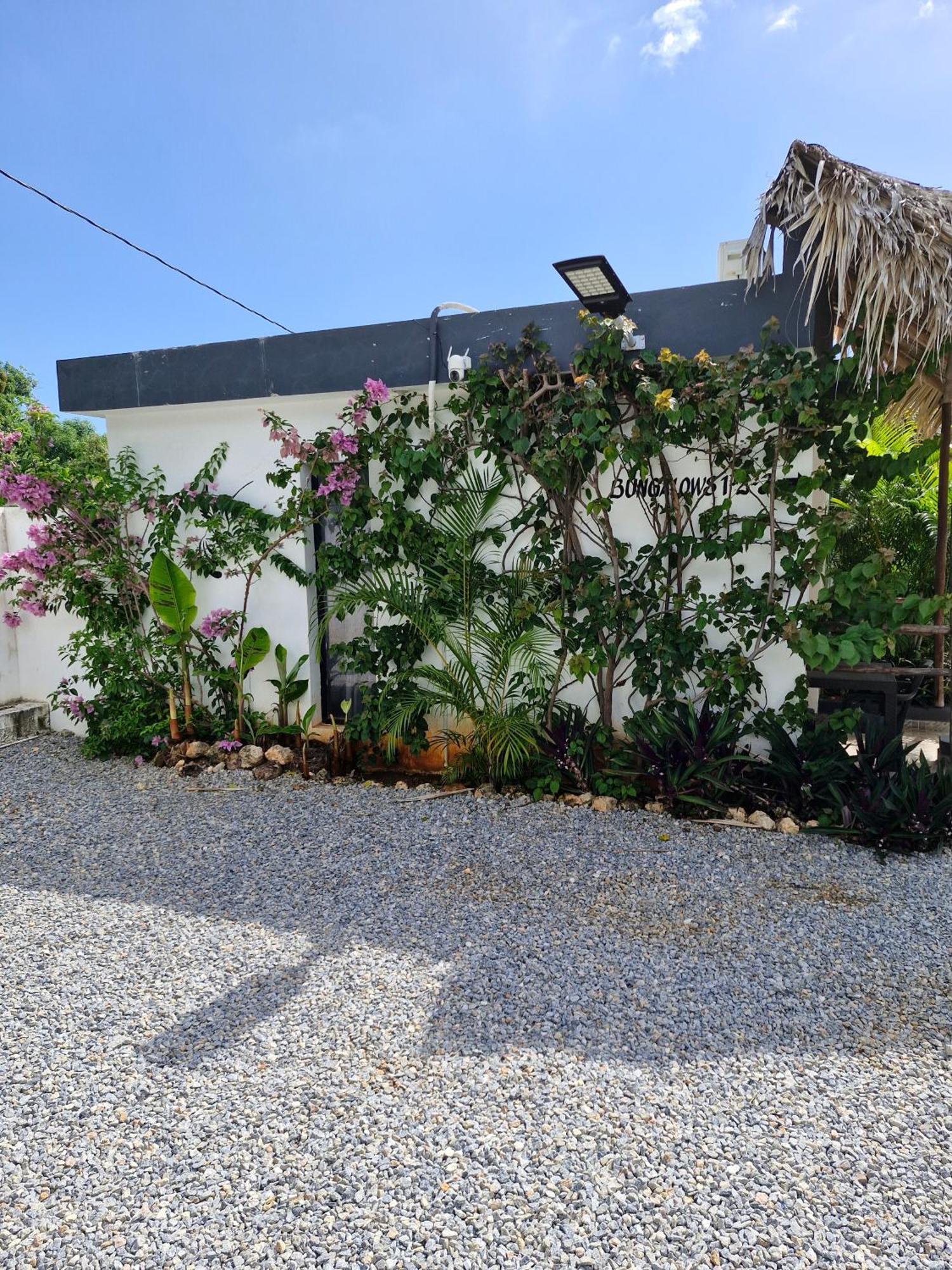 Bungalows Colibri Las Galeras Exterior photo